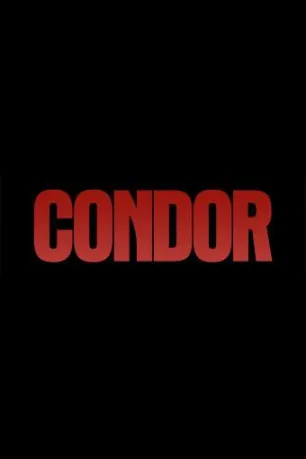 Condor (season 2) Condor (season 2)