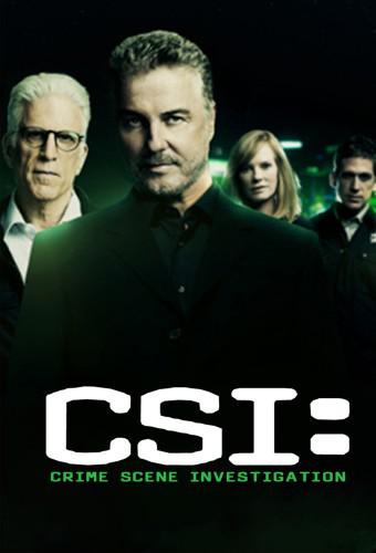 CSI: Crime Scene Investigation (season 14)