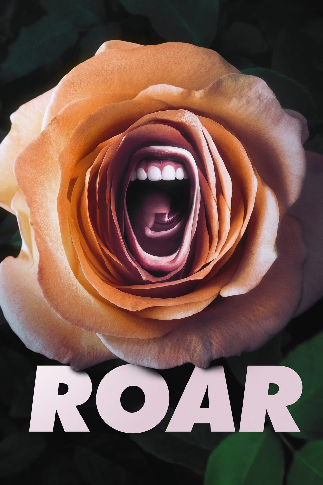 Roar (season 1)