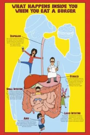 Bob's Burgers (season 7)