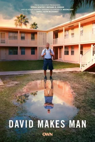 David Makes Man (season 1)