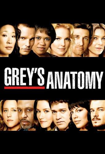 Grey's Anatomy (season 17)