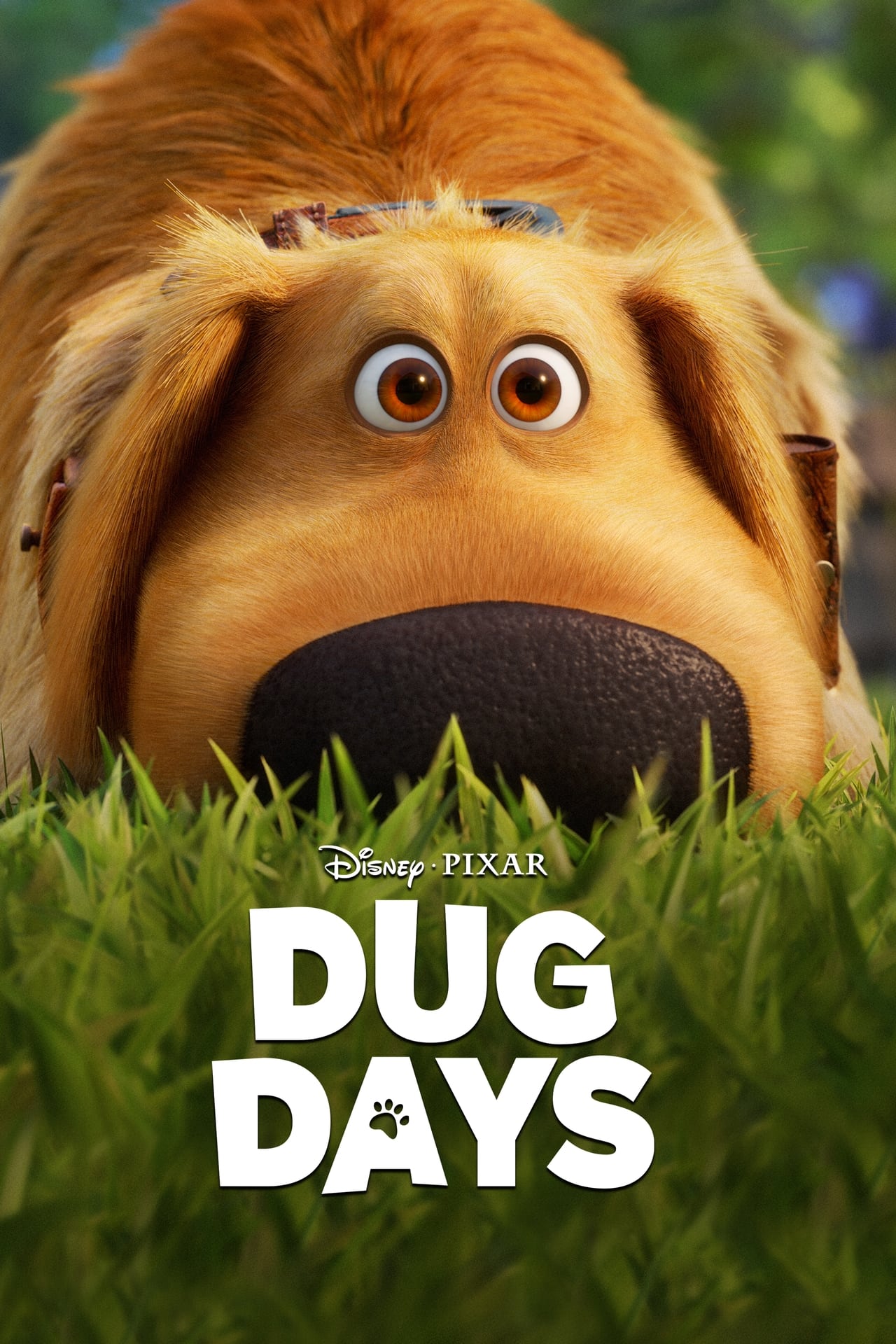 Dug Days (season 1)