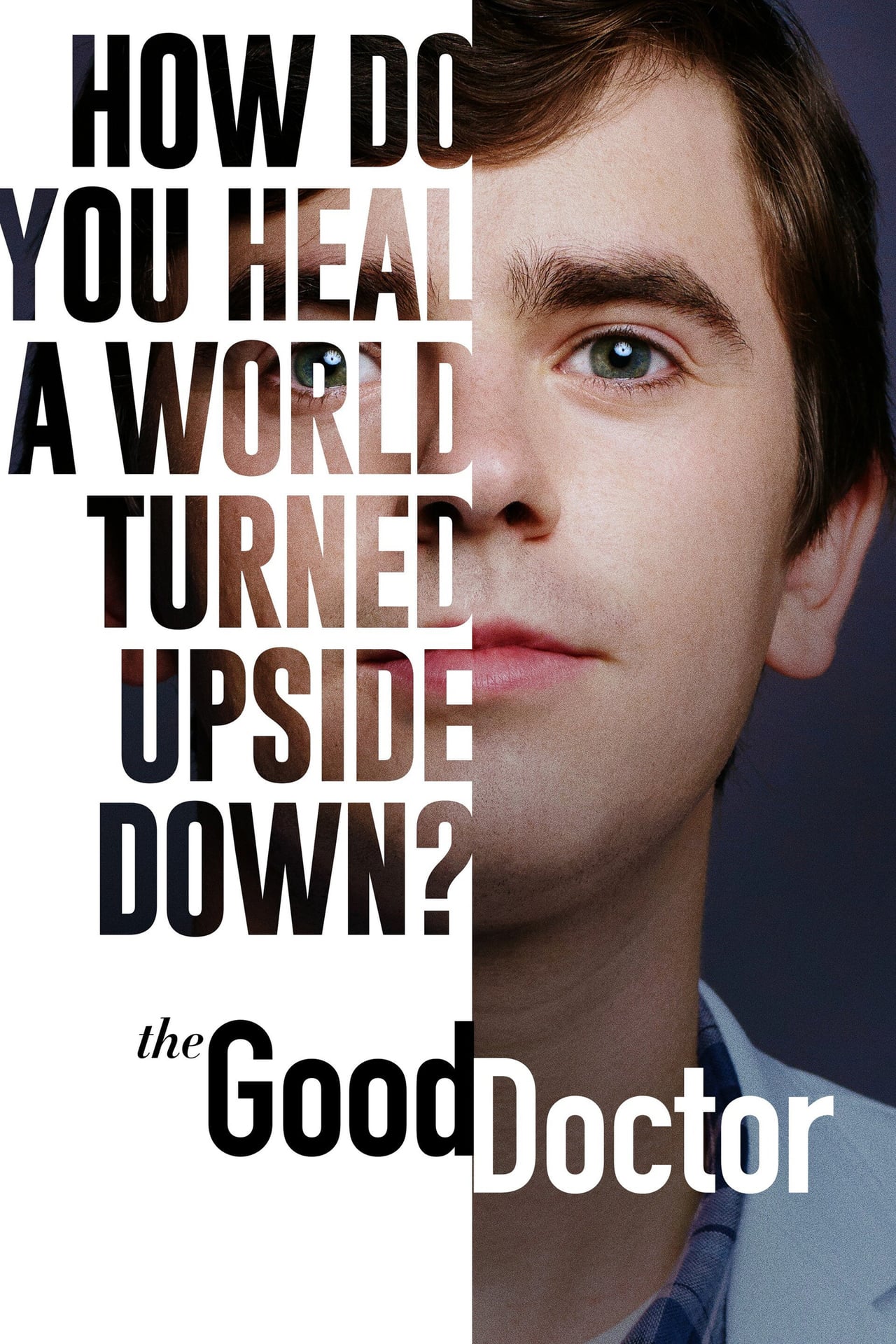 The Good Doctor (season 5)