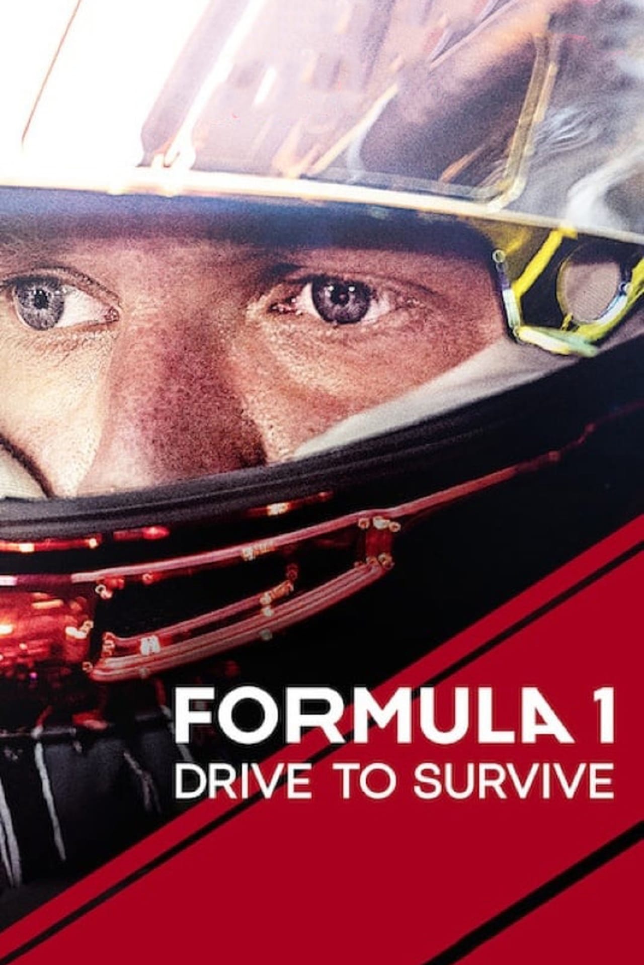 Formula 1: Drive to Survive (season 1)