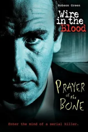 Wire in the Blood (season 5)