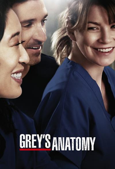 Grey's Anatomy (season 10) Grey's Anatomy (season 10)