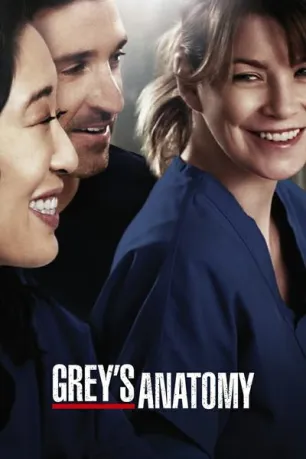 Grey's Anatomy (season 6)