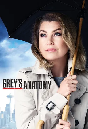 Grey's Anatomy (season 12) Grey's Anatomy (season 12)